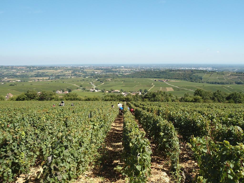 Le Haut De Collonge Saint-Boil Exterior foto